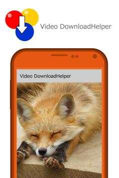 Video DownloadHelper:Save MP4 screenshot 2