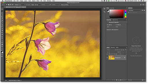 Adobe Photoshop Complete Course - Free screenshot 1