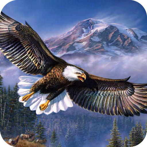 Eagle Wallpaper Best 4K icon
