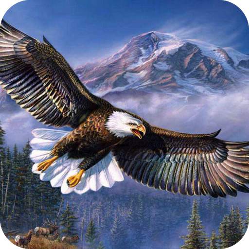 Eagle HD Wallpaper 1.14