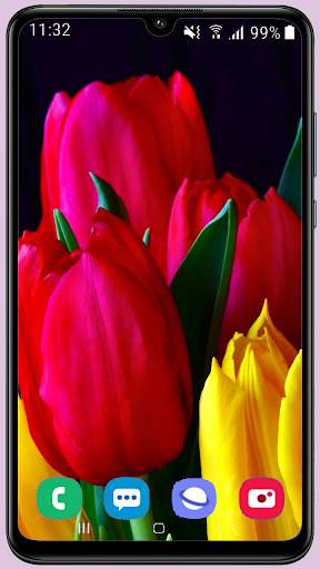 Tulips Wallpaper Best HD screenshot 10