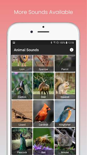Animal Sounds - Ad Free скриншот 3