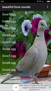 Beautiful Dove Sounds скриншот 2