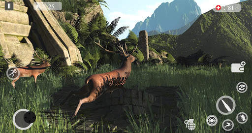 Deer Hunting Games 2019 - Animal Hunting screenshot 5
