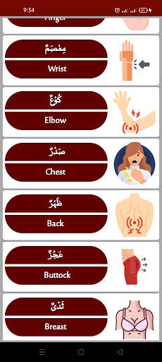 Learn Arabic in English screenshot 2