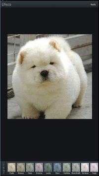 Photo Editor For Android  Free screenshot 1