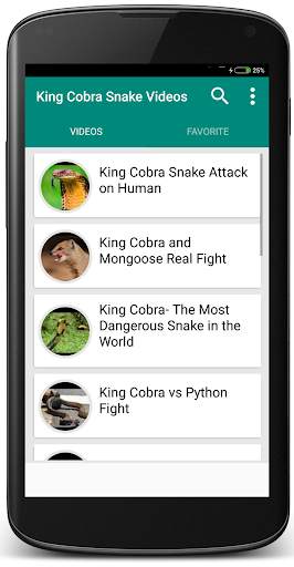 King Cobra Snake - Videos скриншот 1