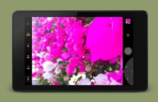 Manual Camera screenshot 7