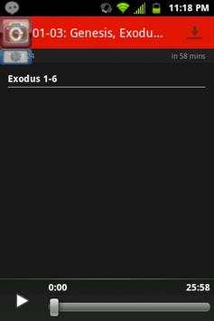 Bible AudioBook (KJV) screenshot 4
