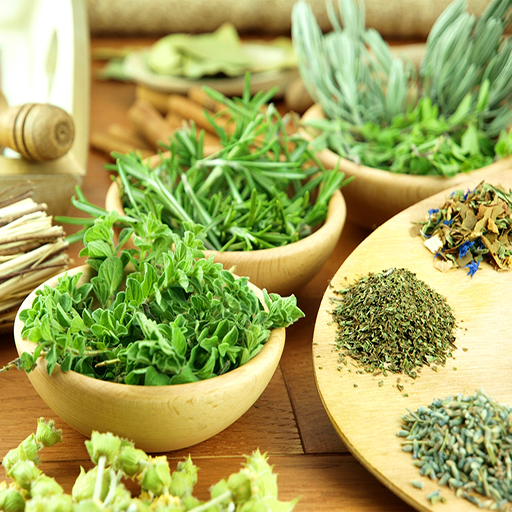 Herbs and Use (Offline) icon