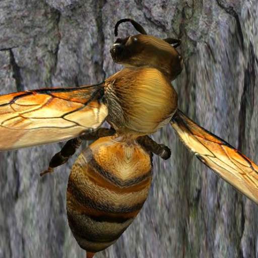 Bee Nest Simulator 3D - Insect and 3d animal game 1.3.2