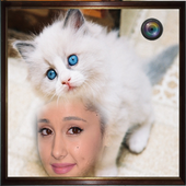 Selfie with A Pussy Cat icon
