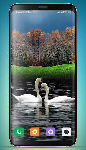 Swan Wallpaper screenshot 9