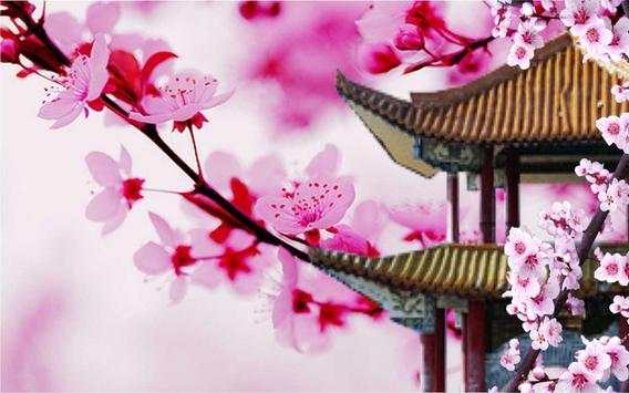 Japan Sakura live wallpaper screenshot 5