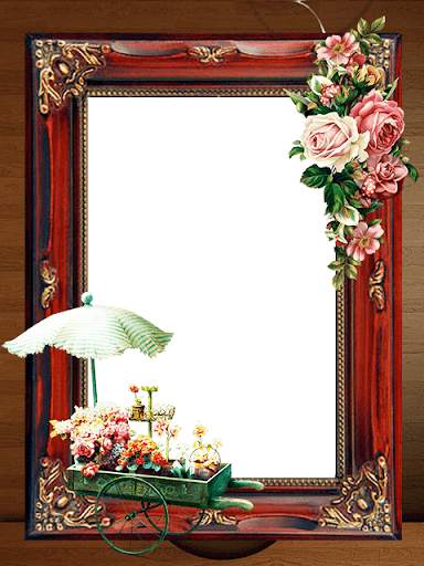 Flower Photo Frames, Lovely Flower Frame screenshot 9