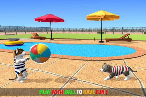 Cat Simulator Game 2020 :Kitty Running screenshot 17