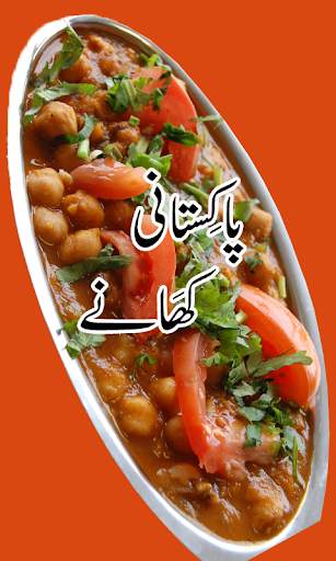 Pakistani Khanay screenshot 1