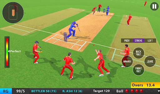Indian T20 Cricket League 2022 screenshot 12