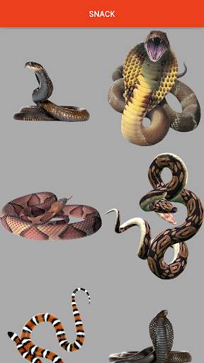 Add Snake to Photo screenshot 2