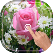 Magic Touch - Pink Rose أيقونة