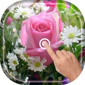 Magic Touch - Pink Rose on 9Apps