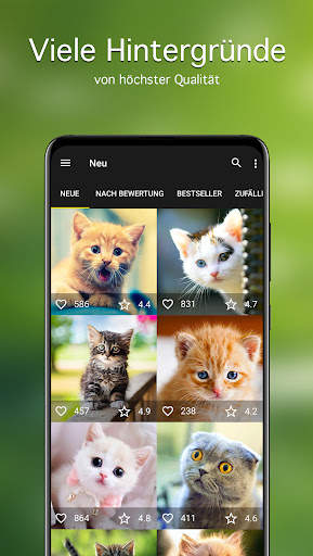 Hintergrundbilder Katzen 4K screenshot 2