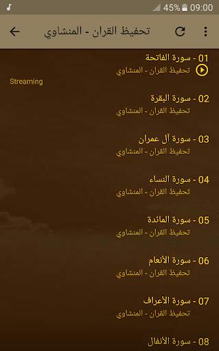 تحفيظ القران الكريم بصوت المنشاوي screenshot 3