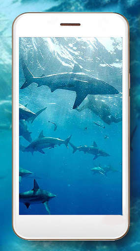 Sharks Live Wallpaper screenshot 6