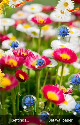 Spring Live Wallpaper screenshot 2