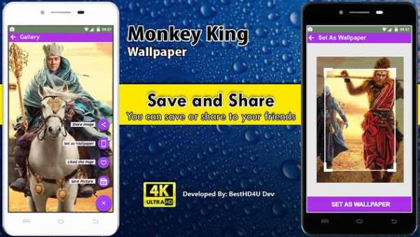 Monkey King Wallpaper screenshot 4