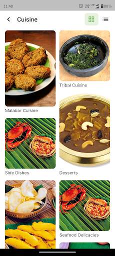 Kerala Tourism screenshot 5