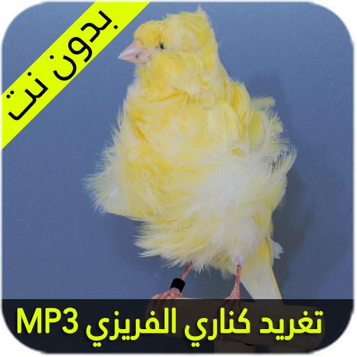 تغريد الكناري الفريزي 1.2