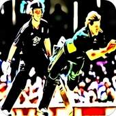 T20 Cricket Fever 2015 1.2