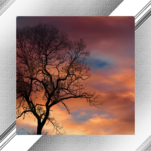 Tree Photo Frames icon