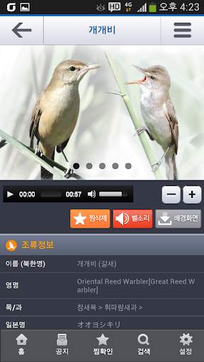 한국의 조류(Birds of Korea) screenshot 6