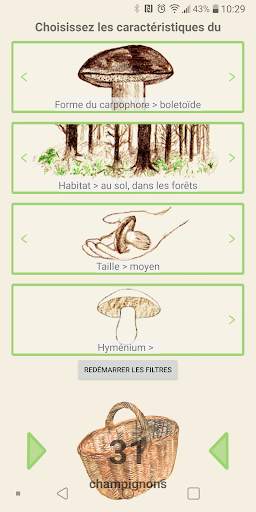 Aux champignons screenshot 4