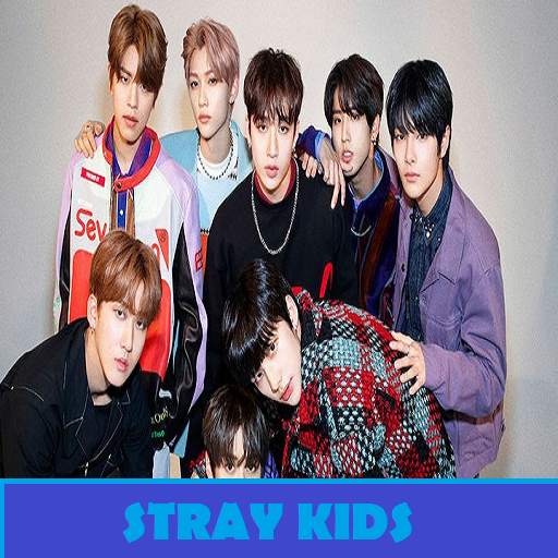 STRAY KID - OFFLINE SONG   LYRICS 1.0