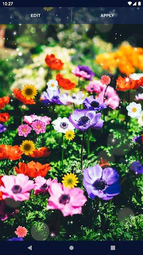 HD Summer Live Wallpaper screenshot 8