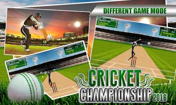 World Cricket Skills 2016 Cup screenshot 1