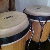 Bongo Drum Sound icon