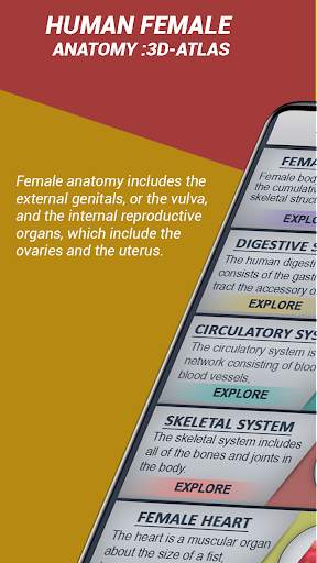 Female Anatomy 3D : Female 3D organs Anatomy screenshot 3