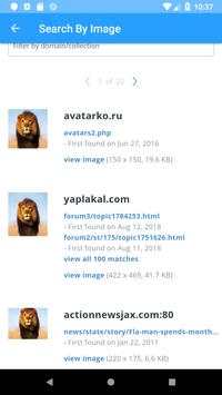 Search by image:Reverse Image Search screenshot 2