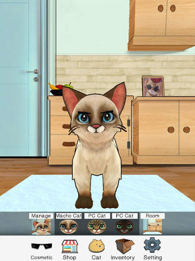 마쵸 고양이 :애완 고양이 시뮬레이터 screenshot 16