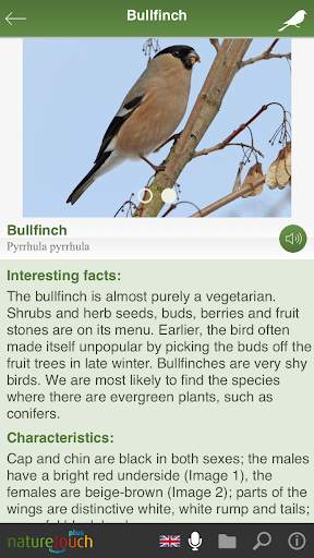 Identify live bird songs, naturetouch screenshot 7
