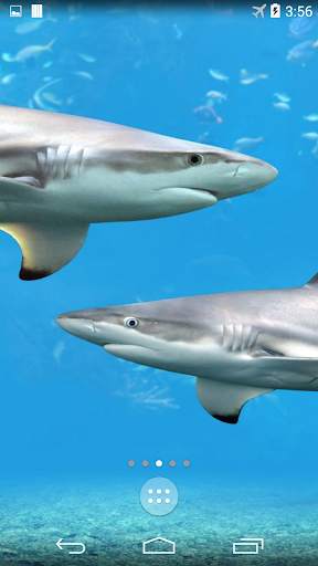 Shark 4K Live Wallpaper screenshot 1