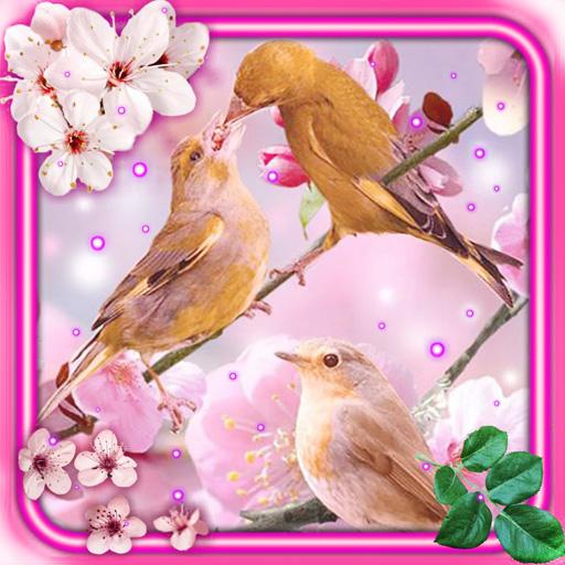 Spring Birds Live Wallpaper icon