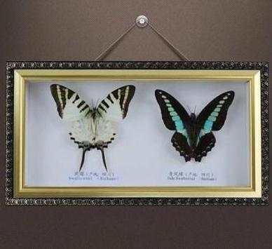 DIY craft photo frame screenshot 4