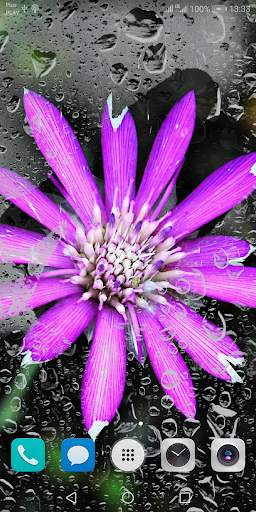 Beautiful Summer HD Wallpapers 6 تصوير الشاشة