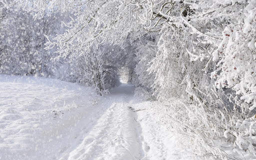Snow Wallpaper HD : backgrounds & themes screenshot 16