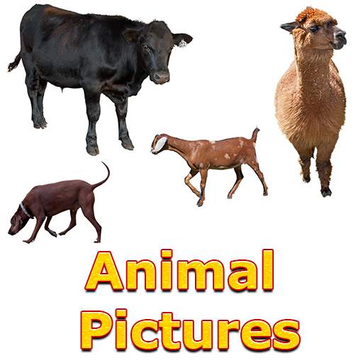 Animals Name and Pictures for Kids 2.0